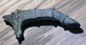 CTO-4043 - Couteau à manche figuréfer, bronzeCouteau à manche coulé sur la soie de la lame en fer; le manche, assez court, comporte une virole marquée de bourrelets, et affecte une forme de patte animale, terminée par un sabot.