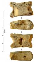 IND-4145 - Astragale tranchée ou râcléeosTPQ : -30 - TAQ : 300Astragale (le plus souvent, d'ovi-capriné  ou de suidé) dont 1, 2 ou 4 faces ont été râclées ou tranchées, afin de régulariser le volume pour le rapprocher d'un parallélépipède.