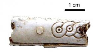 PGN-4012 - Peigne à barre rectangulaire de type indéterminéos ou bois de cerfPeigne à barre rectangulaire de type indéterminé
