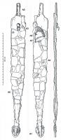 EPE-3005 - Épée celtiqueferEpée de longueur moyenne (L. fourreau 43 à 51cm), section losangique et pointe effilée. Le fourreau, souvent avec un décor gravé au sommet de la face antérieure, se termine par une bouterolle ajourée ornée de deux disques