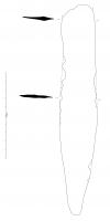 EPE-3042 - Fragment de lame d'épéeferFiche destinée à regrouper les lames d'épées celtiques fragmentaires, dont le type ne peut être déterminé.