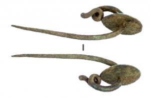 FIB-3581 - Fibule à disque d'arrêtbronzeFibule à arc serpentiforme et disque d'arrêt séparant l'arc de l'ardillon; absence de ressort.