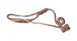FIB-3927 - Fibule de schéma La Tène IIargentFibule à arc tendu filiforme se prolongeant par un pied retourné qui vient se fixer au sommet de l'arc par une bague martelée. ; ressort à 4 spires, corde externe.