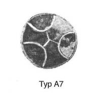 FIB-5234 - Fibule cloisonnée circulaire Vielitz A7bronze, verreFibule cloisonnée circulaire à cloison semi-circulaire et deux ou trois segments