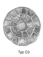 FIB-5237 - Fibule cloisonnée avec compartiment central rayonnant orné de pierres, Vielitz C3argent, orFibule cloisonnée avec grenats et un registre central lui aussi constitué de cellules rayonnantes (six ou plus). 