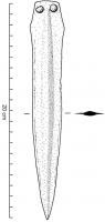 PGD-1002 - Poignard à languette non débordantebronzePoignard à languette étroite non débordante, plus ou moins élevée, trapézoïdale, percée en général de 2 trous de rivet. Partie tranchante de forme variée.