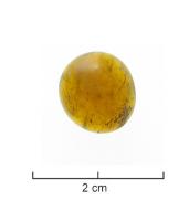 PIO-4044 - Pion de jeu en verreverreTPQ : -25 - TAQ : 400Pion en verre translucide de teinte jaune translucide à ambrée : simple gouttelette de verre déposée à l'état pâteux sur une surface plane.