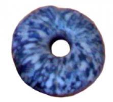 PRL-3512 - Perle annulaire massive : décor moucheté - gr. Haev. 24verreTPQ : -80 - TAQ : -40Perle annulaire massive (D. perforation < D. section) en verre coloré bleu ; décor en surface de mouchetures blanches (all. 'Sprenkeln').