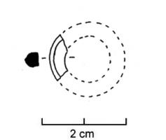 ANO-3006 - Anneau de section ovalo-rectangulaireosAnneau de section ovalo-rectangulaire, face externe arrondie, faces latérales et interne planes.
