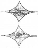 APP-0001 - Applique losangiqueorPlaque d'or de forme losangique aux côtés fortement concaves. Aux extrémités de la grande diagonale, les angles sont prolongés par deux languettes sub-rectangulaires, repliées sur elles-même dans le sens longitudinal. Décor de lignes de pointillés au repoussé.