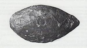 BAL-3119 - Balle de fronde : AITΩΛΩNplombBalle de fronde ovoïde coulée, inscription moulée AITΩΛΩN.