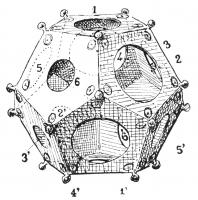 DOD-4001 - Dodécaèdre bouletébronzeObjet creux à douze faces reliées entre elles par des pentagones, chacun d'eux percé d'un trou de diamètre différent de son voisin. Chaque angle est en outre occupé par une boule.