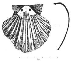 ESP-6001 - Enseigne de pèlerinage : coquille Saint-JacquescoquillageValve de lamellibranche (Pecten maximus), percée d'un ou de deux trous permettant la suspension ou la fixation cousue.