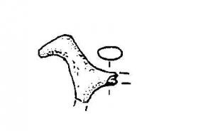 FIB-3530 - Fibule zoomorphebronze, corailFibule dont l'arc est entièrement façonné en forme de quadrupède, la silhouette de l'animal se détachant de profil avec le corps, la tête et une petite queue ; pied redressé en angle droit (filets superposés) et terminé par un cabochon pour une incrustation (sans doute de corail).