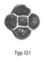 FIB-5251 - Fibule cloisonnée quadrilobée avec insert central carré Vielitz G1