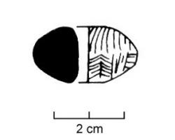 FUS-1016 - Fusaïole à profil ovaleterre cuiteFusaîole à profil ovale symétrique, faces supérieure et inférieure planes, décorée d'incisions.