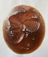 INT-4050 - Intaille : Buste d'hermes avec ailes de papillonpierreIntaille figurant un buste d'hermes, de type archaïsant, souvent interprété comme Zeus/Jupiter, mais ici avec des ailes de papillon.