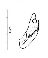 PDQ-2004 - Pendeloque : dentdentDéfense de sanglier perforée