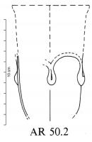 GOB-4039 - Gobelet AR 50.2verreTPQ : 1 - TAQ : 100Gobelet cylindrique haut, sur pied étroit ; la panse est ornée d'une succession d'arceaux en filets rapportés.