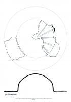 BCE-4012 - Umbo de bouclier hémisphériqueferUmbo de bouclier à calotte hémisphérique à base verticale décorée au repoussé d'un motif de lignes radiales ; rebord circulaire présentant des trous de fixation répartis sur les bords.