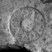 COV-4330 - Tuile estampilléeterre cuiteTuile estampillée d'un cachet circulaire, marque en couronne : O•C•IAVIDI.