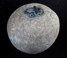 CUB-4127 - Curseur de balancepierre, ferCurseur constitué d'une masse de pierre (taillée, ou simple galet de rivière) auquel on a ajouté une suspension métallique.