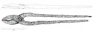 PIN-5001 - Pince de forgeronferTPQ : 500 - TAQ : 800Pince à mors courbes articulés sur pivot et branches droites. 