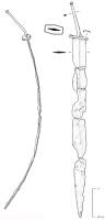 EPE-3037 - Glaive de type gladius hispaniensisfer, boisTPQ : -150 - TAQ : -30Épée à lame longue (entre 55 et 70 cm), à tranchants parfois sinusoïdaux, longue pointe effilée à angle aigu (entre 15 et 25°) ; la poignée montée sur une soie de section quadrangulaire s'appuie sur un épaulement horizontal ; elle se compose de trois éléments permettant de caler la main de l'utilisateur entre garde et pommeau ; les éléments métalliques sont de forme variée selon les exemplaires. Le fourreau en bois est maintenu par des gouttières latérales reliées par des barrettes, dont les deux supérieures sont équipées d'anneaux de suspension.
