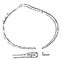 BRC-4107 - Bracelet ouvert à têtes de serpentsbronzeBracelets à jonc mince, les extrémités sont simplement écrasées et marquée d'ocelles pour évoquer des têtes de serpents.