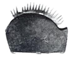 STE-3040 - Statue ou statuette : cilbronzeTPQ : -475 - TAQ : -300Cil réalisé en tôle de bronze pour une statue.