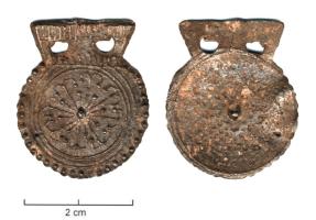 ACE-6002 - Applique vestimentaire dit 'spangle'