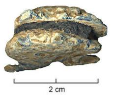 AGV-4004 - Réparation de vase
plomb
Réparation de vase, coulée dans un seul trou et matée sur les deux côtés : l'objet a la forme d'un double rivet.