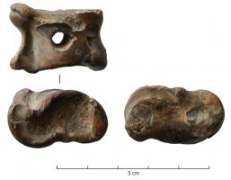 AML-3033 - Astragale percée
os
Astragale perforée, sans autre aménagement de l'os naturel.