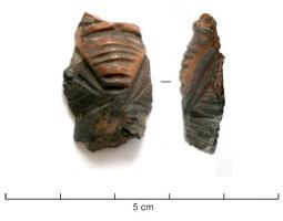 AML-4028 - Amulette figurée : cigale
os
TPQ : 50 - TAQ : 260
Amulette en os, représentant le corps d'une cigale ; aucun mode de suspension.