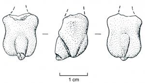 AMP-4010 - Amulette phallique
cornaline
Amulette en cornaline, représentant des parties génitales masculines au repos.