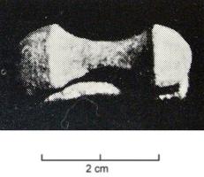 APH-4207 - Applique de harnais
bronze
Applique de harnais rectangulaire aux flancs concaves, terminés par deux renflements hémisphériques.