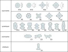 APT-4001 - • série : Applique à tenons en T
bronze
•série : appliques à anneau libre et tenons en T.