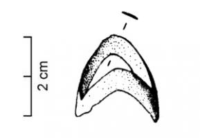 BAG-3006 - Bague coudée
bronze
Bague à jonc plat, coudée de manière à présenter un tracé en chevrons. Section variable, parfois ronde mais plus généralement plate, légèrement bombée à l'extérieur; jonc lisse ou avec des motifs de feuilles soulignées par des incisions.