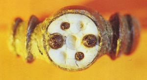 BAG-4020 - Bague émaillée
bronze
TPQ : 100 - TAQ : 250
Bague dont le chaton circulaire creusé forme une loge circulaire unique, ornée d'émaux composites (inclusions de verre dans de l'émail)ou d'un cabochon de verre ; deux fortes moulures transversales de part et d'autre du chaton.