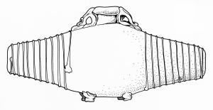 BLS-4157 - Balsamaire en forme de tonnelet
verre
TPQ : 200 - TAQ : 400
Balsamaire à corps bitronconique dont les deux extrémités sont recouvertes d'un filet étiré en spirale. Ce vase repose sur quatre petits pieds et possède un col court à lèvre en bourrelet, accosté par deux anses delphiniformes.