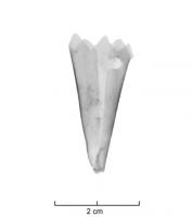 BOF-8003 - Bouterolle triangulaire (feuille pliée)
cuivre
Feuille de cuivre pliée de manière à former un étui triangulaire, dont l'entrée est découpée (frise de triangles). On observe une perforation pour la fixation au fourreau.