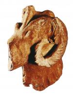 CHT-4001 - Chenet modelé
terre cuite
Chenet modelé dans une argile à gros dégraissant; objet de grande taille, comportant une barre massive, rapidement prolongée par une partie verticale se terminant par une tête animale, le plus souvent une tête de bélier. Le corps est généralement parsemé de orifices destinés à l'insertion de broches de cuisson. Ces objets sont très richement décorés de lignes incisées, points, chevrons, colliers modelés, etc. A la difference des chenets préromains, ces exemplaires tournent souvent la tête vers l'intérieur du foyer, perpendiculairement au corps de l'objet.
Certains exemplaires présentent un orifice interne le long de la gaine réalisé après cuisson (témoins de réparation ?)