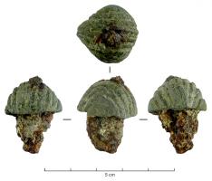 CLD-4001 - Clou décoratif : coquille
bronze
Clou (sans doute plutôt une clavette) en bronze, coulé sur une tige de fer, dont le motif représente une coquille.