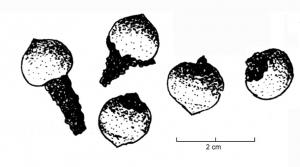 CLD-4041 - Clou décoratif
bronze, fer
Clou en bronze, coulé sur une tige de fer, avec une tête sphérique ou à sommet légèrement conique.