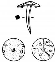 CLN-4011 - Clou de navire en cuivre
cuivre
Clou long de 2 à 4cm, en cuivre, dont le revers de la tête est pourvu d'aspérités destinées à faciliter l'adhésion sur la feuille de plomb qui protégeait les coques de navires ; revers de type désordonné (globules et/ou traits non organisés).