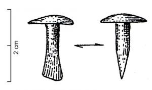 CLO-1003 - Clou à tête large
bronze
Petit clou à tête large et ronde, plus ou moins bombée ; corps de section circulaire terminé en biseau ou en pointe.