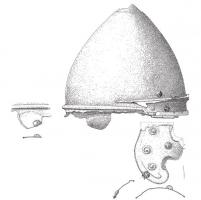 CSQ-3030 - Casque de Boé
fer, bronze
Calotte à profil sinusoïdal. 
Une visière schématisée un bourrelet saillant à section triangulaire évoque le trait caractéristique des casques celtiques occidentaux. 
Le bord avant est souligné par une petite tôle de bronze riveté. 
Couvre-nuque d'unseul tenant non conservé. 
Paragnathide à double échancrure, comportant une orle sur le pourtour. L'objet est riveté par des rivets en fer à tête incrusté d'émaux rouge. De plus, trois spirales travaillées au repoussée suivent la ligne de la mâchoire.  
Le système à articulation de la paragnathide est fixé au timbre via une languette tréflée (fig. 3). 
En partie sommital, on remarque un cercle concentrique délimitant une différence d'épaisseur dans le métal. Ce cercle peut être la marque d'une ébauche, signe que le casque est en cours de fabrication. en revanche, en vue du contexte proposé, l'hypothèse d'un rajout de calotte (Ensérune, Estarac,Montlaurès) ou d'une coiffe n'est pas impossible. 
 
A l'intérieur du timbre, en position arrière, se trouve une plaque de tôle repliée, sorte de rajout d'ajustement, fixé sur les tempes.  
Ce système permet aussi d'isoler la boîte crânienne du porteur de la surface du timbre, amortissant des chocs.