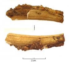 CTO-9047 - Couteau pliant à manche en os incurvé rainuréfer et osTPQ : 1700 - TAQ : 1900Couteau à manche fin incurvé, de surface plane avec deux rainures longitudinales, placées sur le bord.
