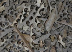 EBO-7001 - Chute de fabrication d'anneaux
os
Plaquette sciée et perforée pour l'extraction d'anneaux, disposés en ligne.