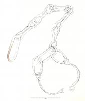 ENT-4019 - Entraves
fer
Entraves constitué par trois anneaux ovales reliant deux boucles mobiles. Les deux entraves étaient reliées par cinq maillons de chaine en 8, assurant une certaine liberté de mouvement..